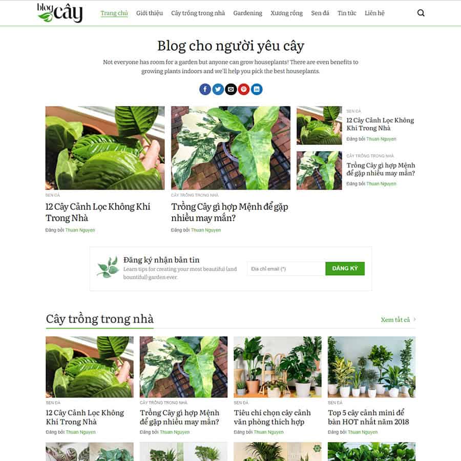 Mẫu Website Tin Tức 12 - Blog Tin Tức Tổng Hợp - Cài Đặt Sẵn